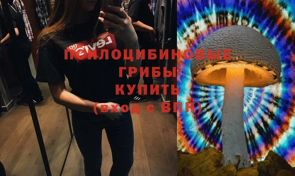 а пвп мука Гусь-Хрустальный