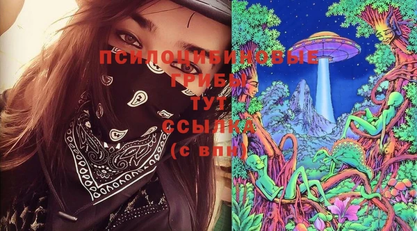 ALPHA-PVP Гусев