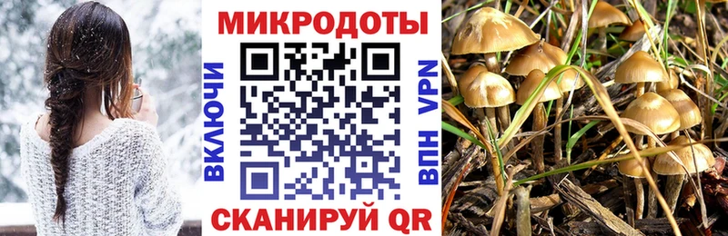 Псилоцибиновые грибы мухоморы  Купить  Буйнакск 
